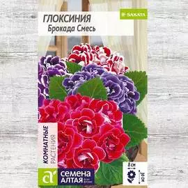 Глоксиния Брокада F1, смесь окрасок