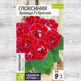 Глоксиния Брокада красная F1