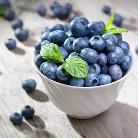 Голубика Бригитта Блю