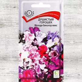 Горошек душистый Мелоди биколор, смесь окрасок