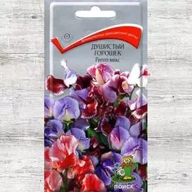 Горошек душистый Риппл, смесь окрасок