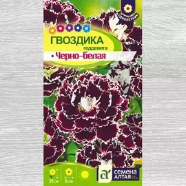 Гвоздика Геддевига Черно-белая