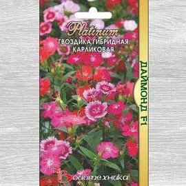 Гвоздика гибридная Даймонд F1, смесь окрасок