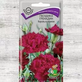 Гвоздика Гренадин Король в черном