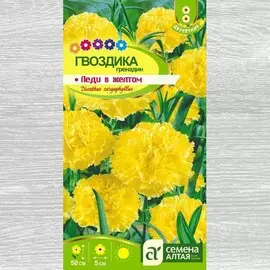 Гвоздика гренадин Леди в желтом