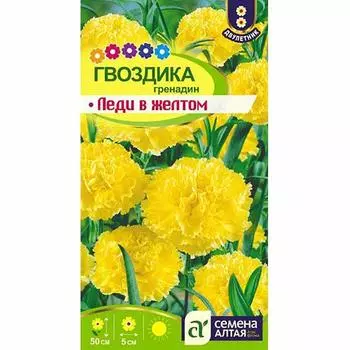 Гвоздика гренадин Леди в желтом Семена Алтая