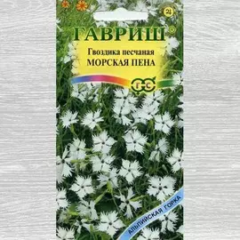 Гвоздика Морская пена