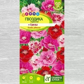 Гвоздика перистая Грезы, смесь окрасок