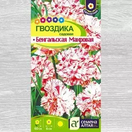 Гвоздика садовая Бенгальская