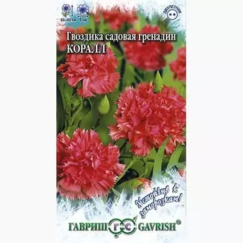 Гвоздика садовая Гренадин Коралл Гавриш
