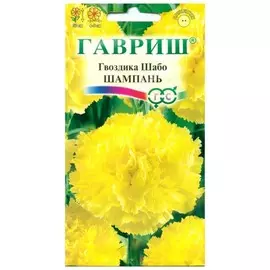 Гвоздика Шабо Шампань