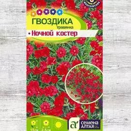 Гвоздика травянка Ночной костер