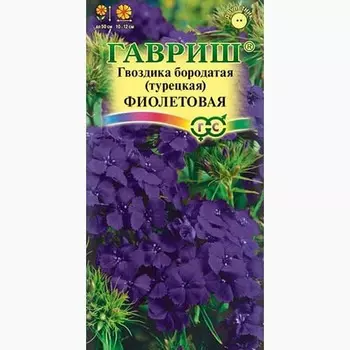 Гвоздика (турецкая) бородатая Фиолетовая Гавриш