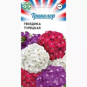 Гвоздика (турецкая) бородатая Триколор, смесь окрасок Гавриш