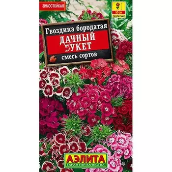 Гвоздика турецкая Дачный букет, смесь окрасок Аэлита