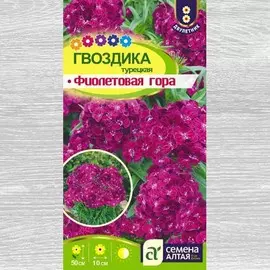 Гвоздика турецкая Фиолетовая гора