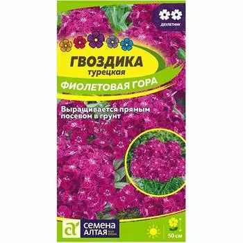 Гвоздика турецкая Фиолетовая гора Семена Алтая