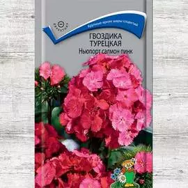 Гвоздика турецкая Ньюпорт Салмон Пинк