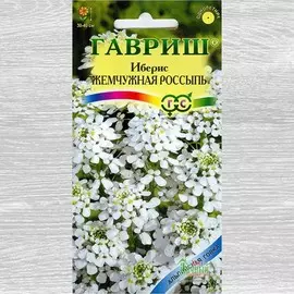 Иберис Жемчужная россыпь