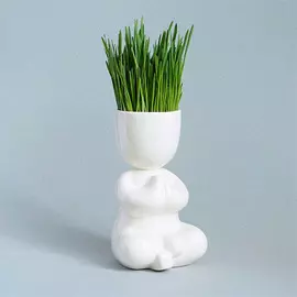 Экочеловек Йог