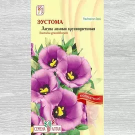 Эустома Лагуна лиловая