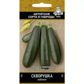 Кабачок Скворушка Поиск