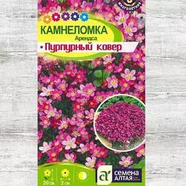 Камнеломка Арендса Пурпурный ковер