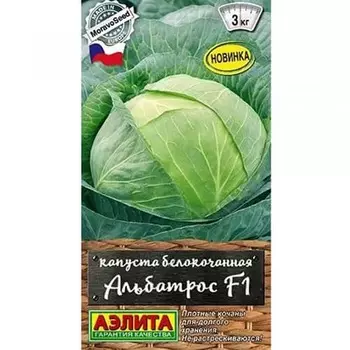 Капуста белокочанная Альбатрос F1 Аэлита