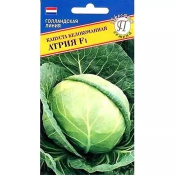 Капуста белокочанная Атрия F1 Престиж