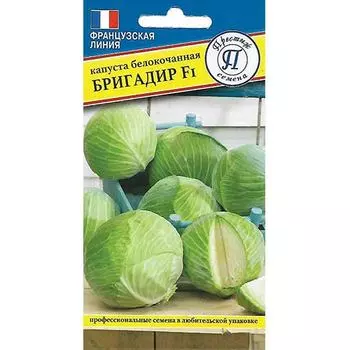Капуста белокочанная Бригадир F1 Престиж