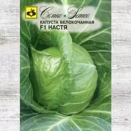 Капуста белокочанная F1 Настя
