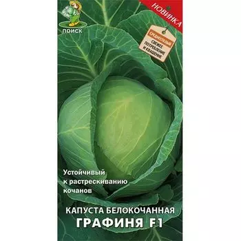 Капуста белокочанная Графиня F1 Поиск