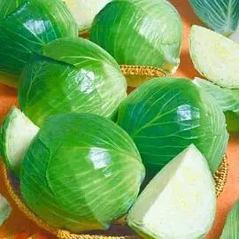 Капуста белокочанная Элиза F1