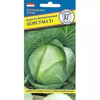 Капуста белокочанная Корсума F1 Престиж