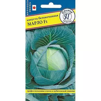 Капуста белокочанная Марло F1 Престиж