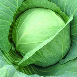 Капуста белокочанная Сахарная молния F1