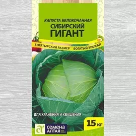 Капуста белокочанная Сибирский гигант