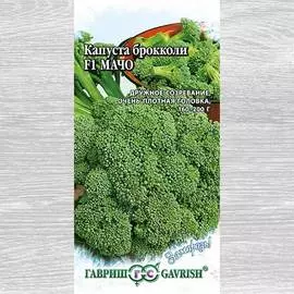 Капуста брокколи Мачо F1