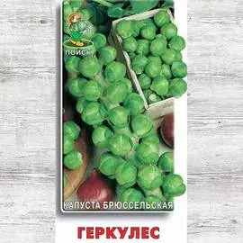 Капуста брюссельская Геркулес