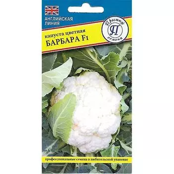Капуста цветная Барбара F1 Престиж