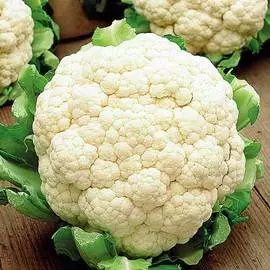 Капуста цветная Гудман