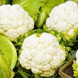 Капуста цветная Уайт Эксел F1