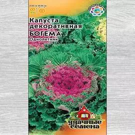 Капуста декоративная Богема