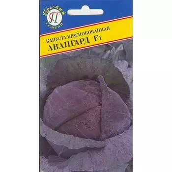 Капуста краснокочанная Авангард F1 Престиж