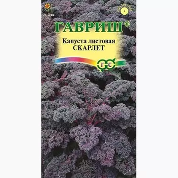 Капуста листовая (кале) Скарлет Гавриш