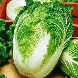 Капуста пекинская Нежность F1