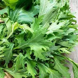 Капуста японская Мизуна зеленая
