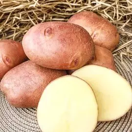 Гиацинт Бродвей
