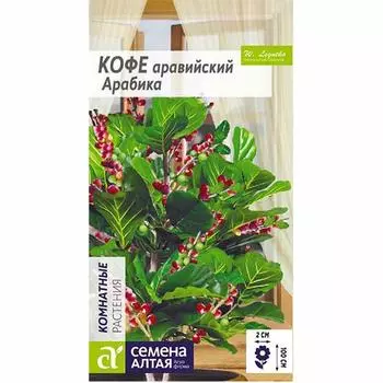 Кофе аравийский Арабика Семена Алтая