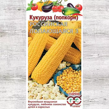 Кукуруза (попкорн) Российская лопающаяся 3 Гавриш